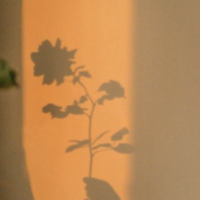逍遥吟手游破解版下载
