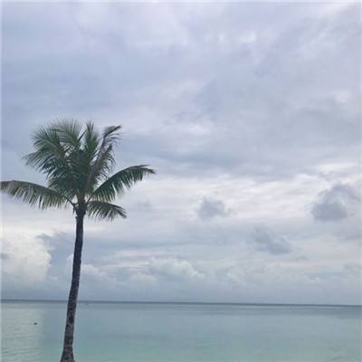 以太之光4399最新版下载