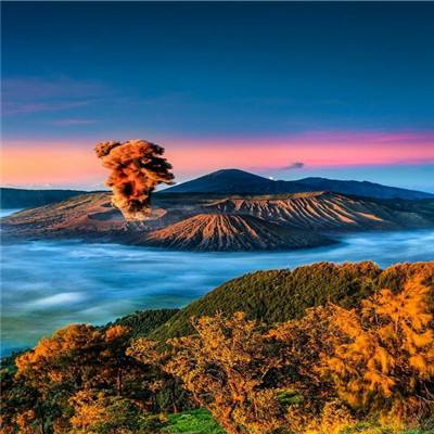 “山花”盛放!第十三届中国民间文艺山花奖揭晓